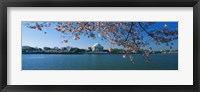 Monument at the waterfront, Jefferson Memorial, Potomac River, Washington DC, USA Fine Art Print
