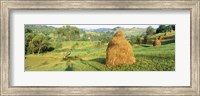 Farm, Transylvania, Romania Fine Art Print