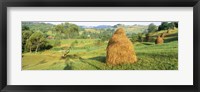 Farm, Transylvania, Romania Fine Art Print
