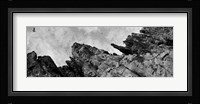 Birds Nesting In Cliffs, Norway Fine Art Print