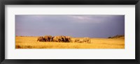 Elephant Herd, Maasai Mara Kenya Fine Art Print
