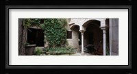 Ivy on the wall of a house, Girona, Spain Fine Art Print