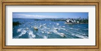 Pleasure Boats, Sydney Harbor, Australia Fine Art Print