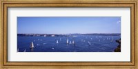 Yachts in the bay, Sydney Harbor, Sydney, New South Wales, Australia Fine Art Print