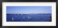 Yachts in the bay, Sydney Harbor, Sydney, New South Wales, Australia Fine Art Print