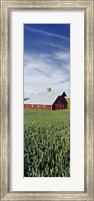 Barn in a wheat field, Washington State (vertical) Fine Art Print