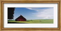 Barn in a wheat field, Washington State (horizontal) Fine Art Print