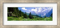 Alpine Scene Near Murren Switzerland Fine Art Print