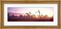 Kakadu National Park Northern Territory Australia Fine Art Print