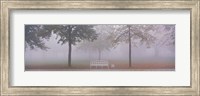 Trees and Bench in Fog Schleissheim Germany Fine Art Print