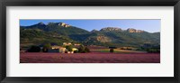Lavender Fields And Farms, High Provence, La Drome, France Fine Art Print