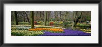 Keukenhof Garden Lisse The Netherlands Fine Art Print