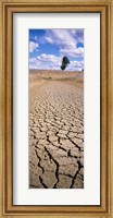 Drought, Australia Fine Art Print