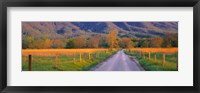 Road At Sundown, Cades Cove, Great Smoky Mountains National Park, Tennessee, USA Fine Art Print