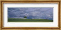 Storm clouds over a field, Zurich Canton, Switzerland Fine Art Print