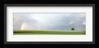 Rainbow and storm clouds over a field, Zurich Canton, Switzerland Fine Art Print