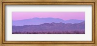 Desert At Sunrise, Anza Borrego California, USA Fine Art Print