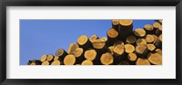 Stack of wooden logs in a timber industry, Austria Fine Art Print
