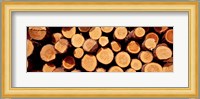 Logs Fine Art Print