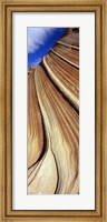 The Wave, Navajo Sandstone Formation, Vermilion Cliffs Wilderness, Arizona Fine Art Print