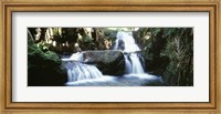 Waterfalls Hilo HI Fine Art Print