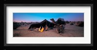 Bedouin Camp, Tunisia, Africa Fine Art Print
