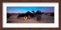 Bedouin Camp, Tunisia, Africa Fine Art Print
