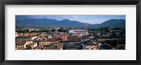 Italy, Tuscany, Lucca Fine Art Print