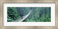 Capilano Bridge, Suspended Walk, Vancouver, British Columbia, Canada Fine Art Print