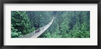Capilano Bridge, Suspended Walk, Vancouver, British Columbia, Canada Fine Art Print