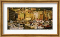 Boats at the harbor, Camogli, Liguria, Italy Fine Art Print