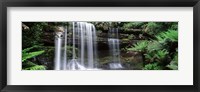 Waterfall in a forest, Russell Falls, Mt Field National Park, Tasmania, Australia Fine Art Print