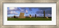 Sheep, Stones Of Stenness, Orkney Islands, Scotland, United Kingdom Fine Art Print