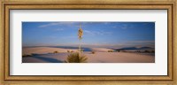 Shrubs in the desert, White Sands National Monument, New Mexico, USA Fine Art Print