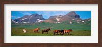 Horses in Borgarfjordur, Iceland Fine Art Print
