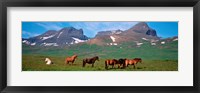 Horses in Borgarfjordur, Iceland Fine Art Print