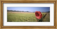 USA, California, Red cowboy hat hanging on the fence Fine Art Print