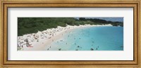 Aerial view of tourists on the beach, Horseshoe Bay, Bermuda Fine Art Print
