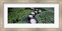 Water Lilies In A Pond, Helan Shrine, Kyoto, Japan Fine Art Print