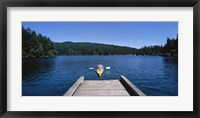 Rear view of a man on a kayak in a river, Orcas Island, Washington State, USA Fine Art Print