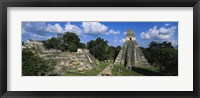 Ruins Of An Old Temple, Tikal, Guatemala Fine Art Print