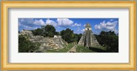 Ruins Of An Old Temple, Tikal, Guatemala Fine Art Print