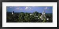 High Angle View Of An Old Temple, Tikal, Guatemala Fine Art Print