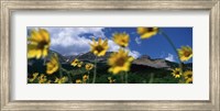 Low Angle View Of Mountains, Montana, USA Fine Art Print