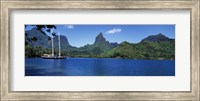 Sailboats Sailing In The Ocean, Opunohu Bay, Moorea, French Polynesia Fine Art Print