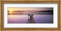 High angle view of a pier on a river, Pounawea, The Catlins, South Island New Zealand, New Zealand Fine Art Print