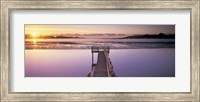 High angle view of a pier on a river, Pounawea, The Catlins, South Island New Zealand, New Zealand Fine Art Print