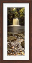 Waterfall In A Forest, Thomason Foss, Goathland, North Yorkshire, England, United Kingdom Fine Art Print