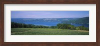 High angle view of a vineyard near a lake, Keuka Lake, Finger Lakes, New York State, USA Fine Art Print