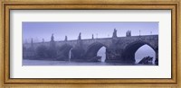 Bridge over a river, Charles Bridge, Prague, Czech Republic Fine Art Print